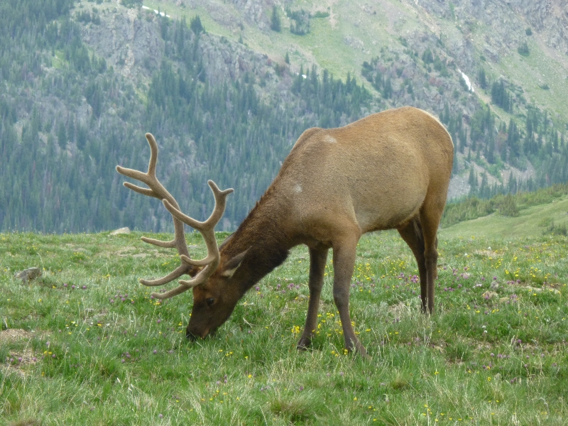 Rocky Mountains