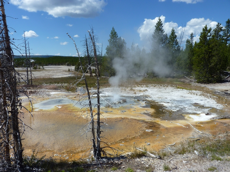 Yellowstone National Park