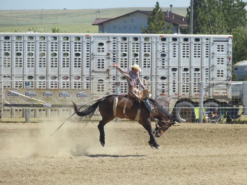 RodeoStanford2